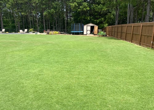 August Warm Season Lawn Tips for 2023