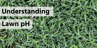 Understanding Lawn pH