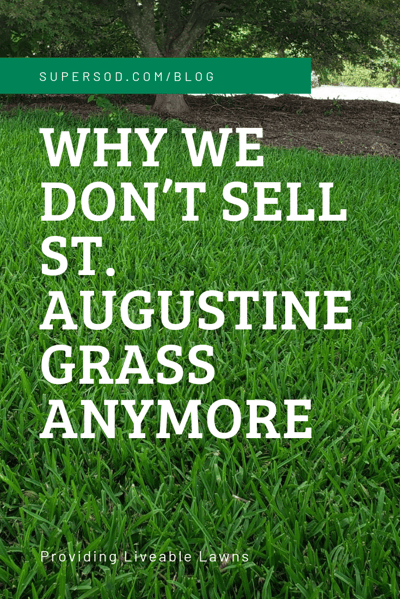 WHY WE DON’T SELL ST. AUGUSTINE GRASS ANYMORE (1)