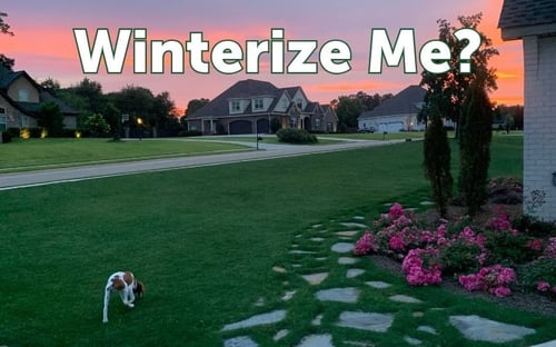 Does Your Lawn Need “Winterizer Weed & Feed?” or Not?