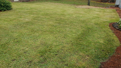 December Warm Season Lawn Tips for 2023