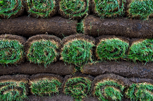 HOW MUCH WILL YOUR SOD COST?