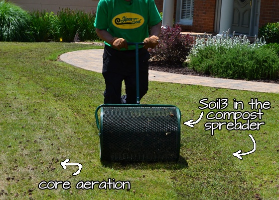 aerate and spread compost to prevent thatch