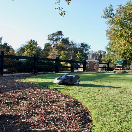 Overseeding TifTuf Bermuda with Ryegrass for a Green Winter Lawn