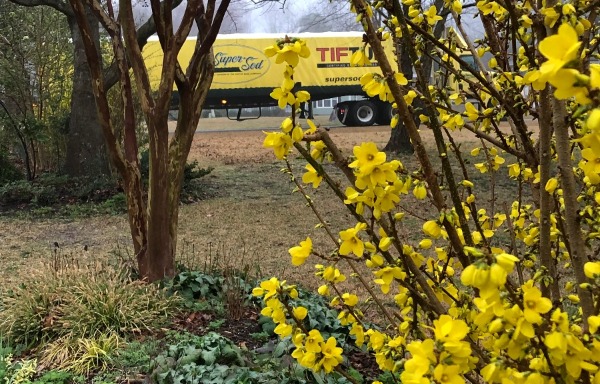 forsythia and Super-Sod truck delivery-1-1