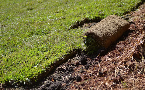 Up Your Curb Appeal in 2 Weeks: Laying your own sod