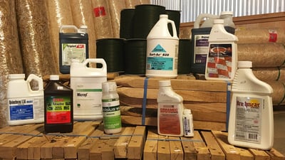 Pre-Emergent, Post-Emergent, and Weed & Feed: What’s the difference?