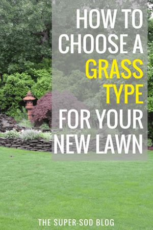 how to choose a grass type for your lawn
