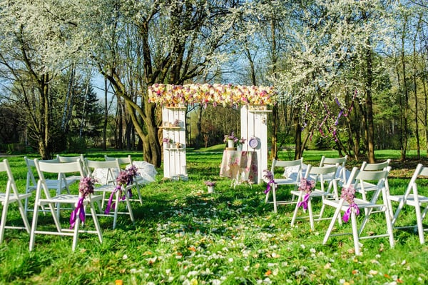 how_to_get_green_grass_for_backyard_wedding