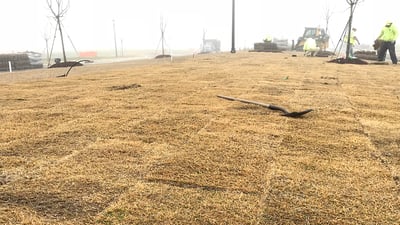 Laying Sod in the Winter