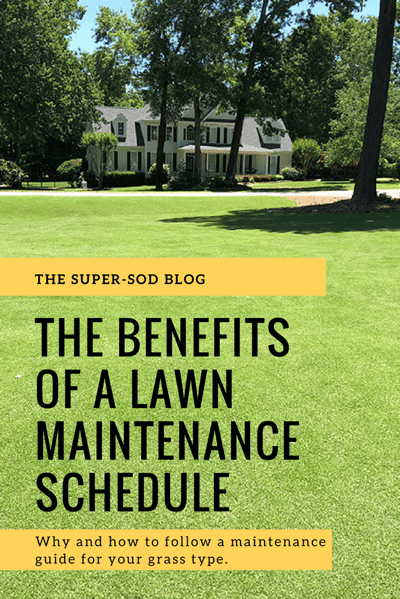 lawn maintenance schedule