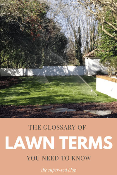lawn term glossary