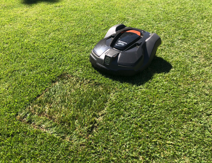 mowing newly patched grass with Automower