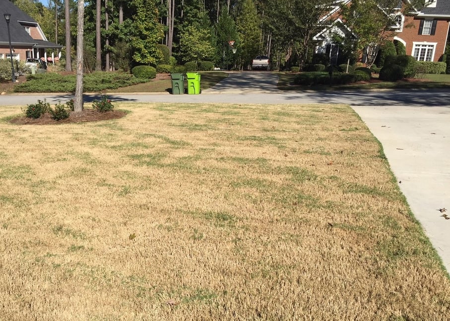 scalped_bermuda_grass_lawn