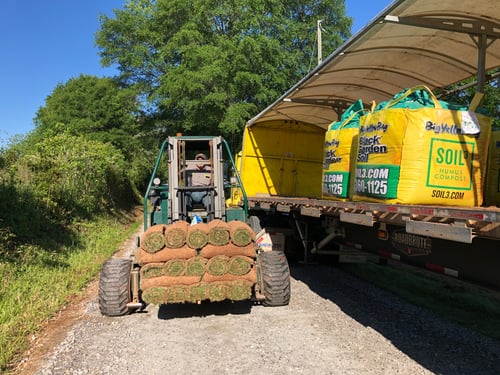 How to Lay Your Own Sod - DIY