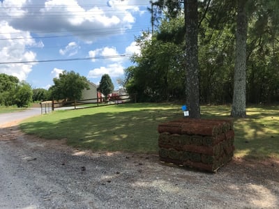 Store Sod in the Shade - Even if You Don't Have a Tree