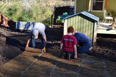 Why Laying Your Own Sod Is Your Next Saturday Project