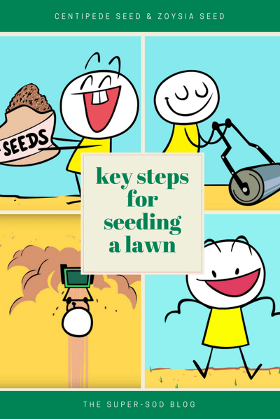 steps for seeding a lawn