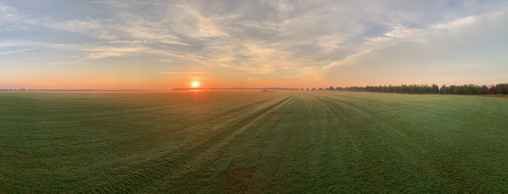 sunrise over a field of TifTuf