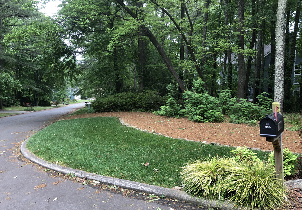 tall fescue and mulch near trees