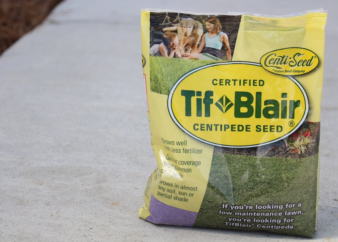 Tifblair Centipede Grass Seed