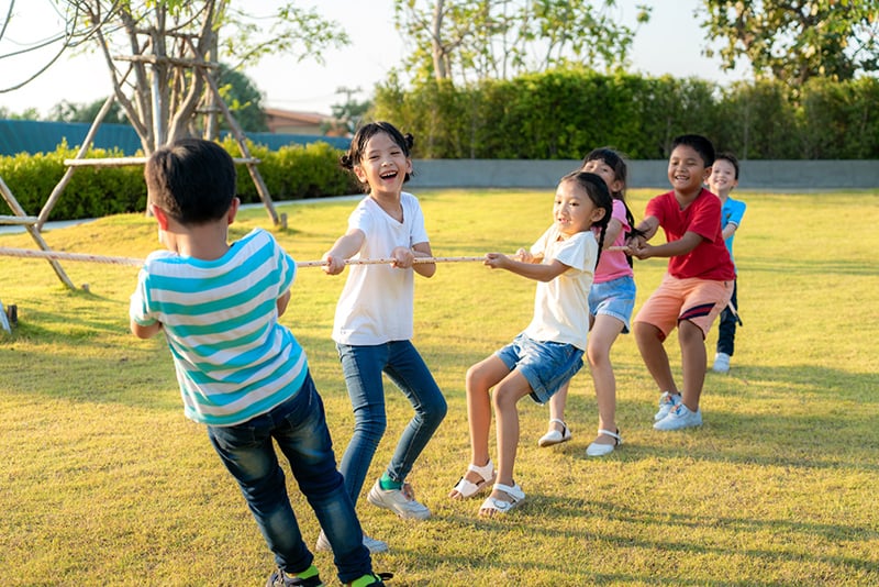 tug of war on a real lawn