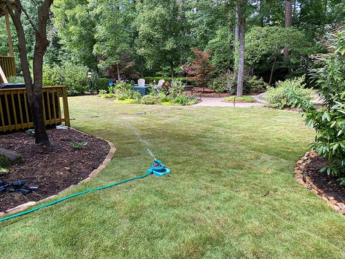 September Warm Season Lawn Tips for 2023