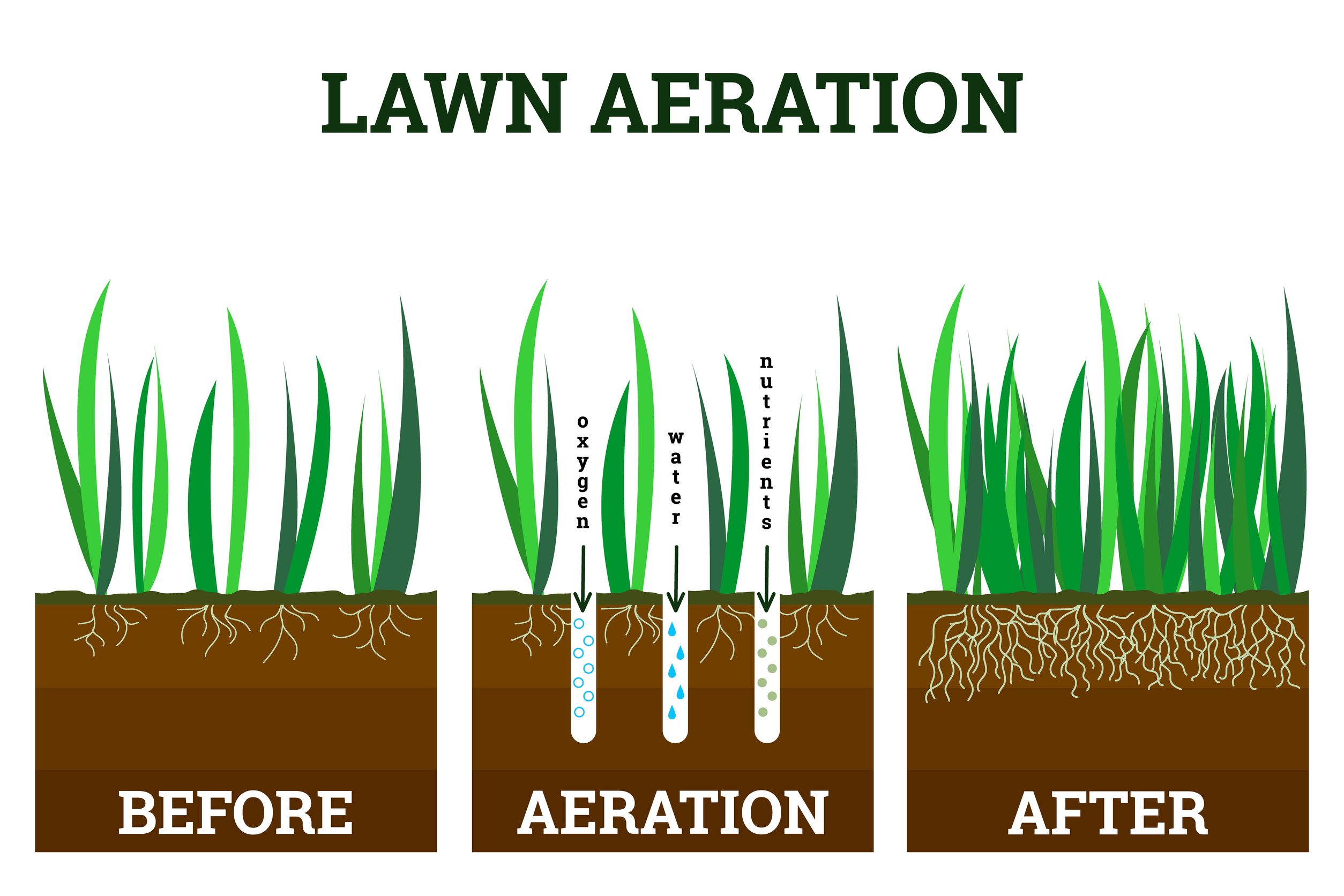 Lawn Aeration with Core Aerator Machine