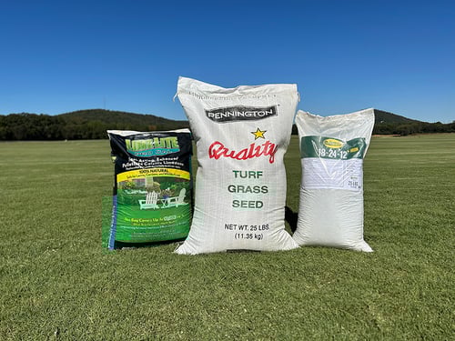 October Tall Fescue Lawn Care Tips for 2025
