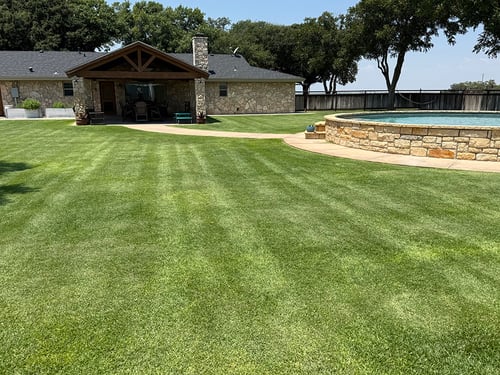 Palisades Zoysia Lawn Maintenance
