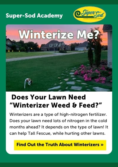 Pinnable Super-Sod Winterize Weed and Feed for Lawns
