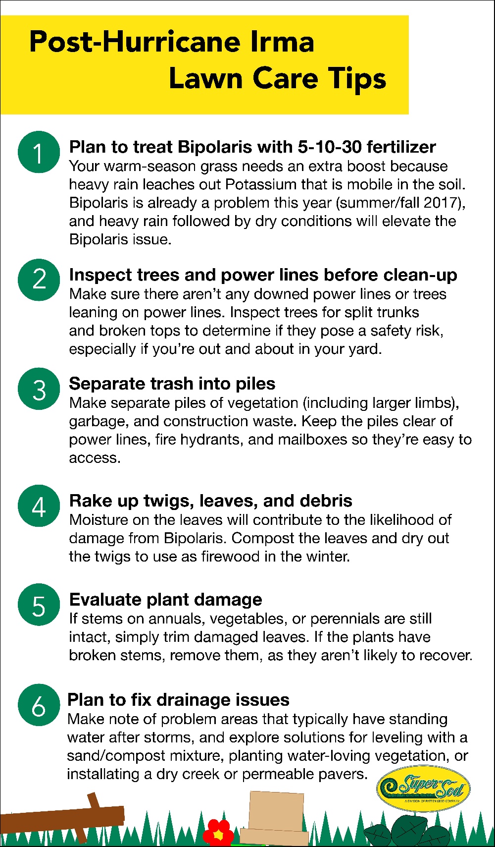 Post-Hurricane clean-up infographic-1