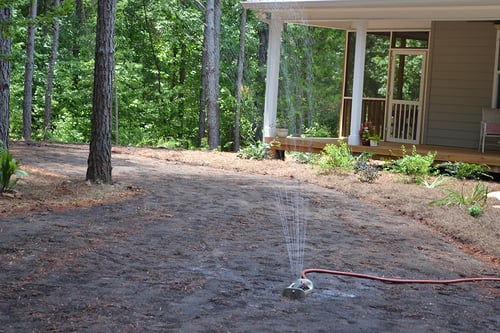 Mulch for Grass Seeds: Cover with Compost Instead of Straw