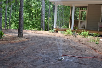 Mulch for Grass Seeds: Cover with Compost Instead of Straw