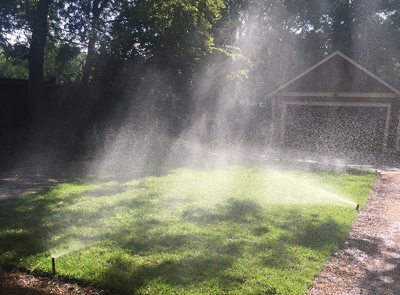 Tall Fescue Irrigation