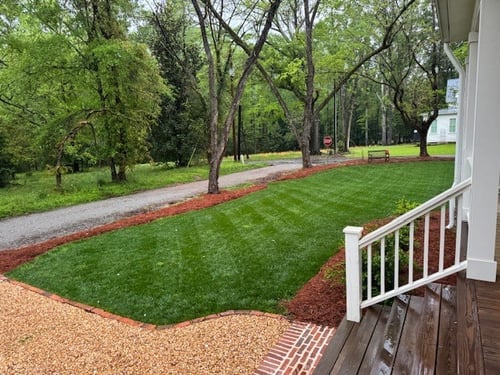 May Tall Fescue Lawn Tips for 2025