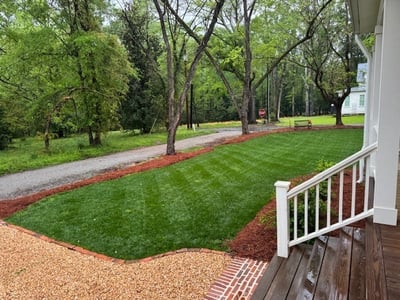 May Tall Fescue Lawn Tips for 2025