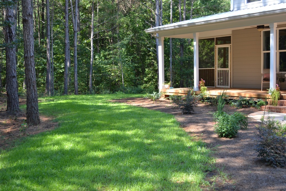 TifBlair_Lawn_Seed_2MonthsLater-1