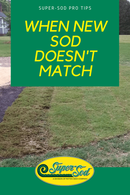 pinnable graphic for when new sod doesn't match