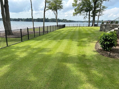 May Warm Season Lawn Tips for 2025