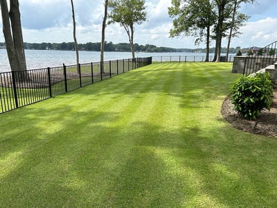 May Warm Season Lawn Tips for 2025