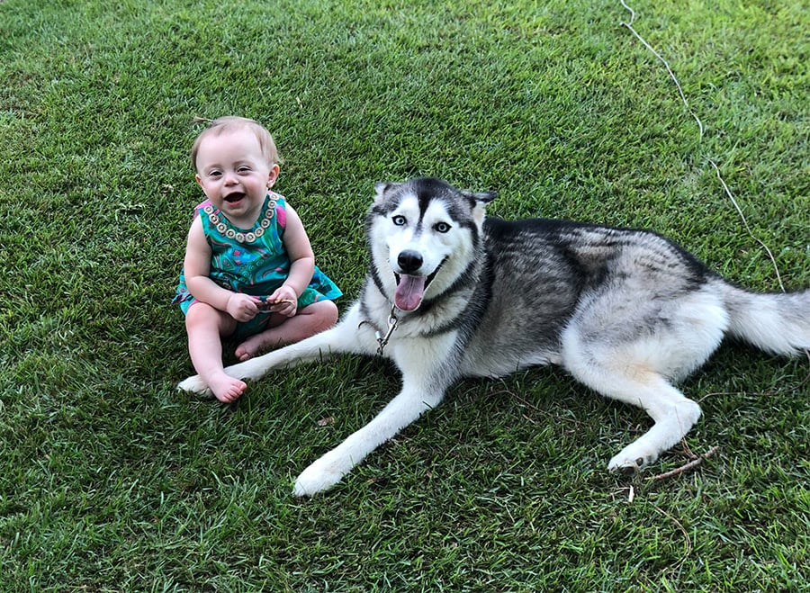 best lawns for pets dogs kids1