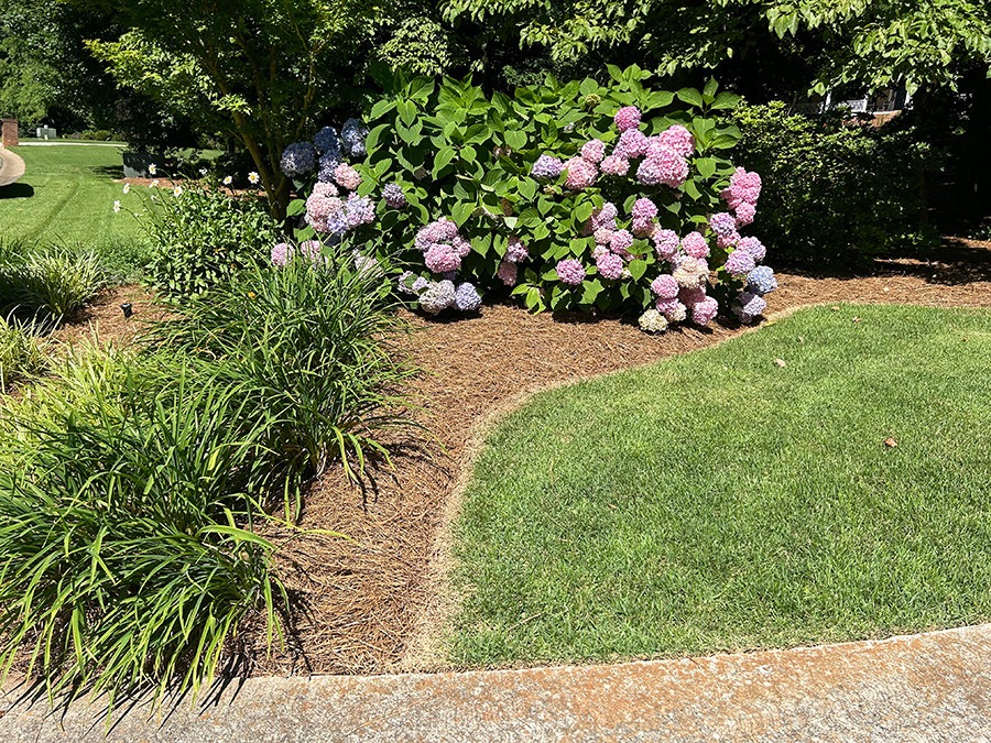 flower-beds-between-lawns-to-prevent-intermingling