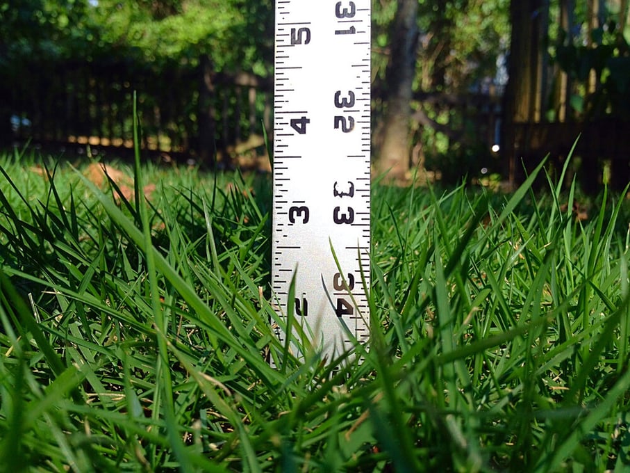 grass height ruler mow height-1