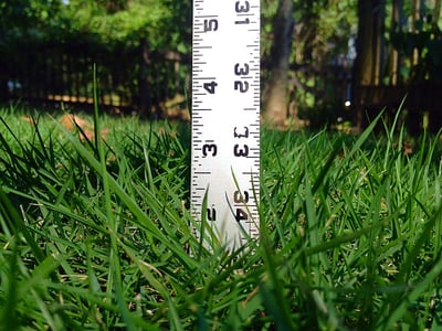 Summer Mowing for Warm Season Grasses: Bermuda, Zoysia, Centipede