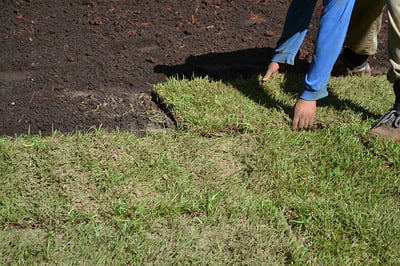 How to Lay Sod on a Slope or Hill (Without it Washing Away)