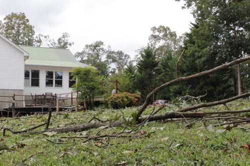 Post-Storm Lawn Cleanup & Care