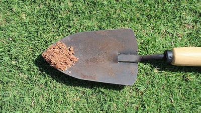 How To Conduct a Soil Test for Your Lawn