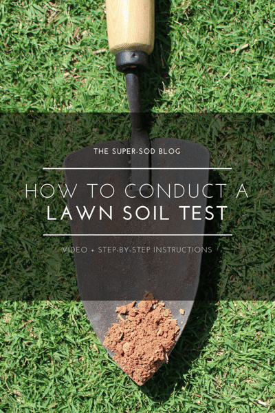 how to conduct a lawn soil test