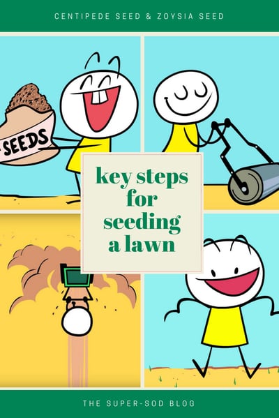 steps for seeding a lawn